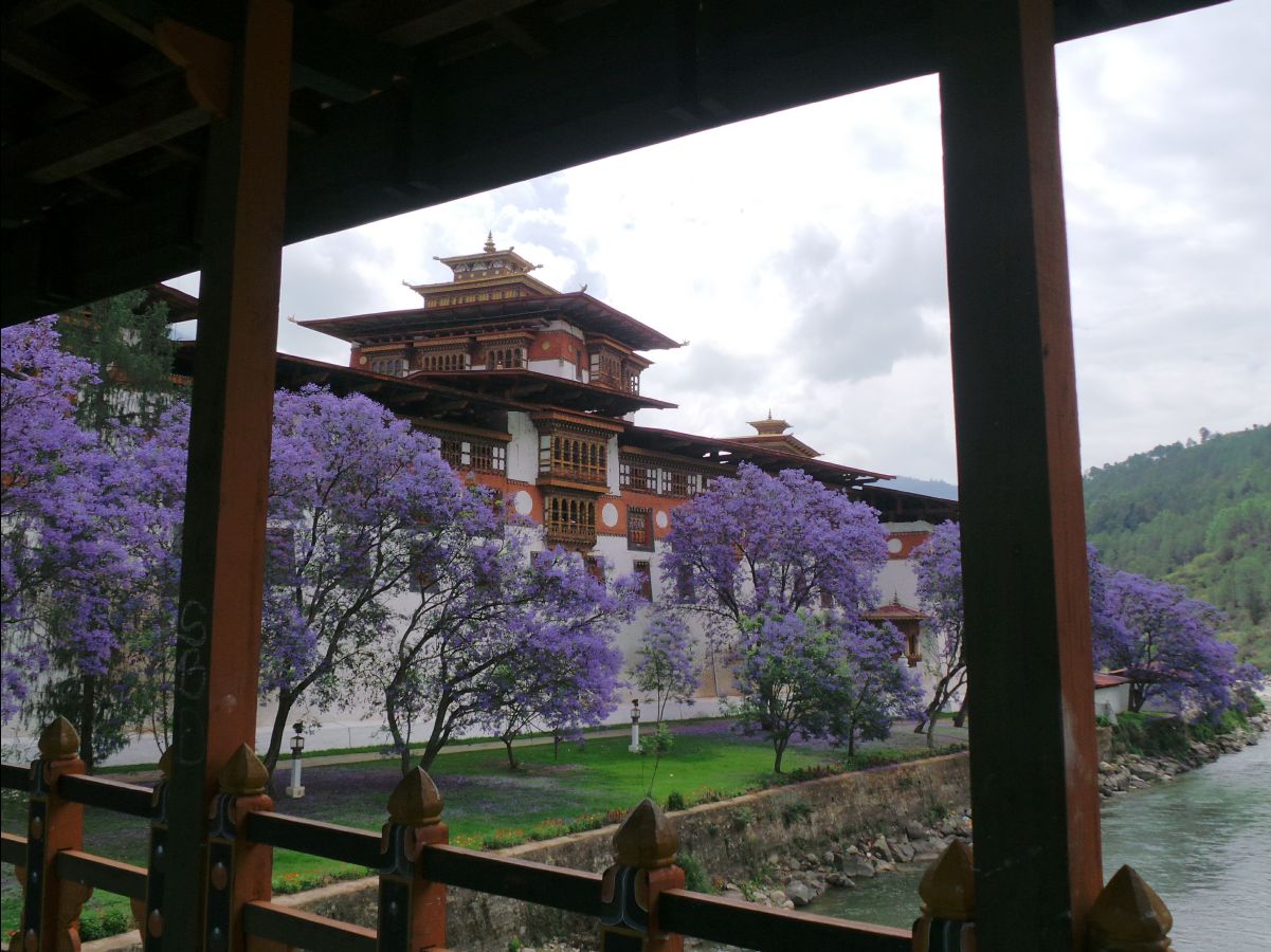 Punakha Dzong27